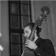 Musicista offre lezioni di Solfeggio, Teoria Analisi e Composizione, Armonia, Contrabbasso e Storia della musica a Cagliari e dintorni